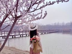 -西青郊野公园