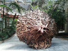 -龙达温泉生态城