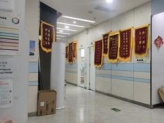 -中农国际动物医院24小时·猫科·骨科·急重症中心
