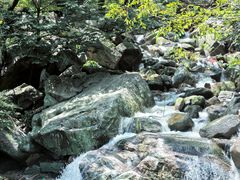 -泰山风景名胜区