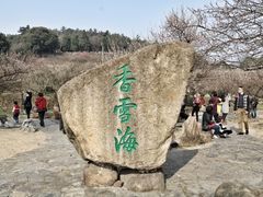 -香雪海