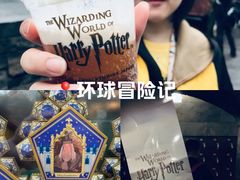 -哈利波特魔法世界