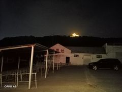 -呼吸森林·生态农庄农家乐私房菜