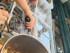 -争先鲜·蒸汽海鲜自助·鲜切牛肉