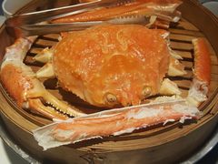 -索菲亚国际大酒店