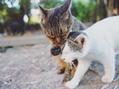 -苏州河梦清园环保主题公园