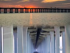 -宝安西湾红树林湿地公园