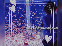 -海合安成都极地海洋公园