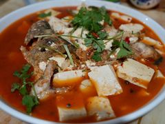 -煲来饱去冷水鱼