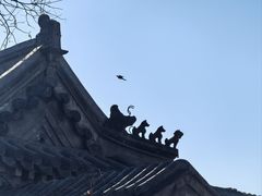 -正阳书局(西四南大街店)
