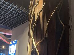 -YOGO优果密室逃脱(新佳丽广场店)