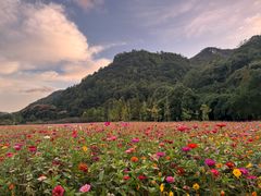 -贵阳市花溪国家城市湿地公园