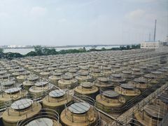 -厨邦酱油文化博览馆