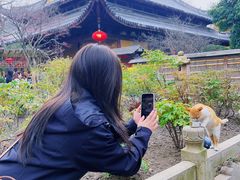 -龙华素斋(龙华路店)