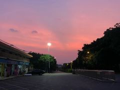 -强记烧鸡(信业悦都汇店)