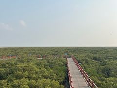 -北海金海湾红树林生态旅游区