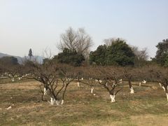 -白马涧龙池景区