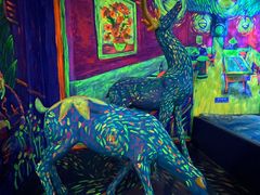 -天津梵高星空艺术馆(天河城旗舰店)