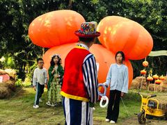 -HERRE·FARM 赫尔露营农场·团建聚会包场