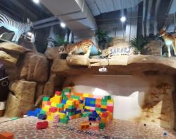 -鲁比猴非洲探索部落(喜盈门店)