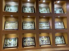 -陕西自然博物馆