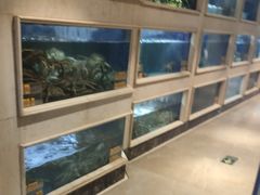 -顺峰(农展馆店)