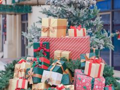 -巨鹏飞梦幻海岸