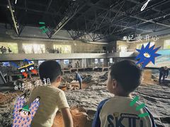 -自贡恐龙博物馆