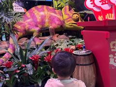 -正佳雨林生态植物园