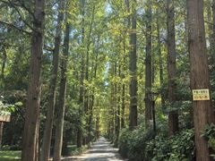 -上海怡沁园度假酒店