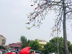 -崖口云吞(中堡店)