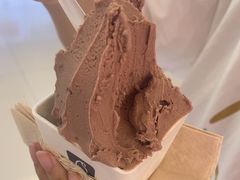 -野人先生现做冰淇淋(北京王府井东方新天地店)