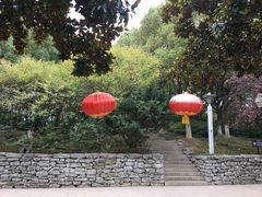 -花溪公园