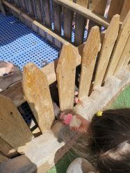 -萌宠亲子动物乐园(槐房万达店)