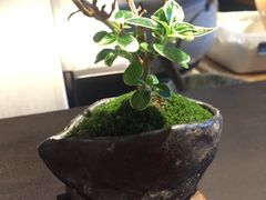 -みかわ是山居