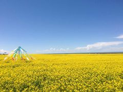 -青海湖国家重点风景名胜区
