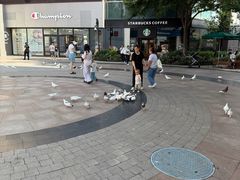 -中粮·祥云小镇