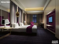 酒店客房-丽舍酒店