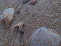 -北戴河东海水浴场