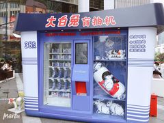 -真老大房鲜肉月饼(南京路步行街店)