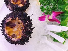 -旅南活海鲜-屏东(墾丁海鮮，海鮮餐廳，墾丁團體合菜，平價熱炒，墾丁熱炒店，活海鮮推薦，在地海鮮餐廳)