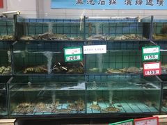 水产区-海岛渔村大酒店(云霄路店)