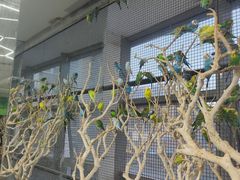 -昆明大悦城未来动物城(螺蛳湾中心店)