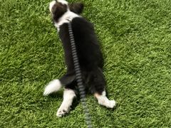 -麦当劳(北亭广场分店)