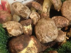 -福照楼汽锅鸡·云南菜(护国路店)
