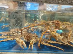 -盒马鲜生(顺义店)