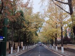 -八大关景区
