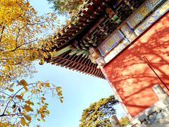 -潭柘寺景区