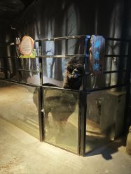 -酷嗒动物文化乐园(cutezoo西溪乐天城店)