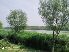 -北京麋鹿生态实验中心
